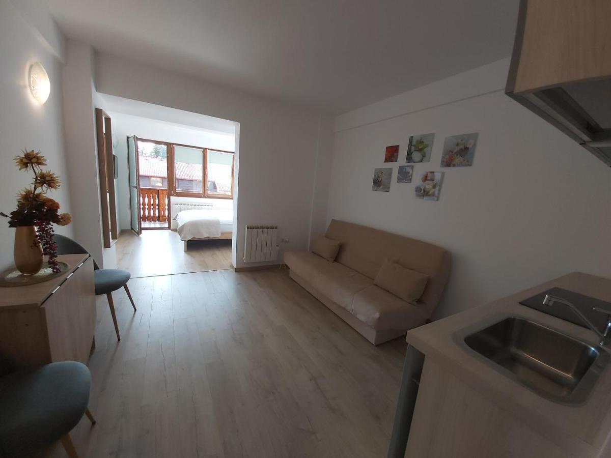 Studio Montana Poiana Brašov Exteriér fotografie